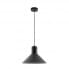 Светильник подвесной CAMELION PL-602L LOFT ROME 14557 ламповый, черный, 220В, 40Вт, Е27