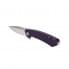 Складной туристический нож Ganzo Adimanti Skimen design R60123 клинок 85мм сталь D2 фиолетовый
